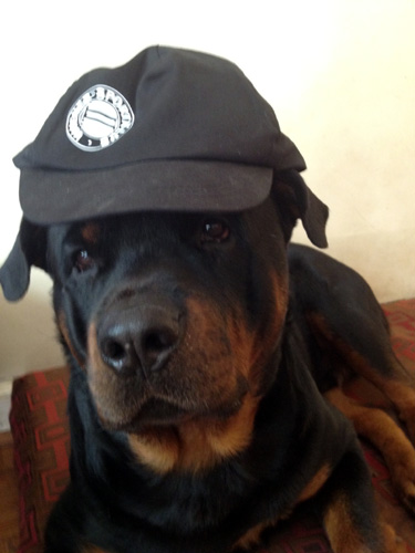 Amtskapperlträger in NYC